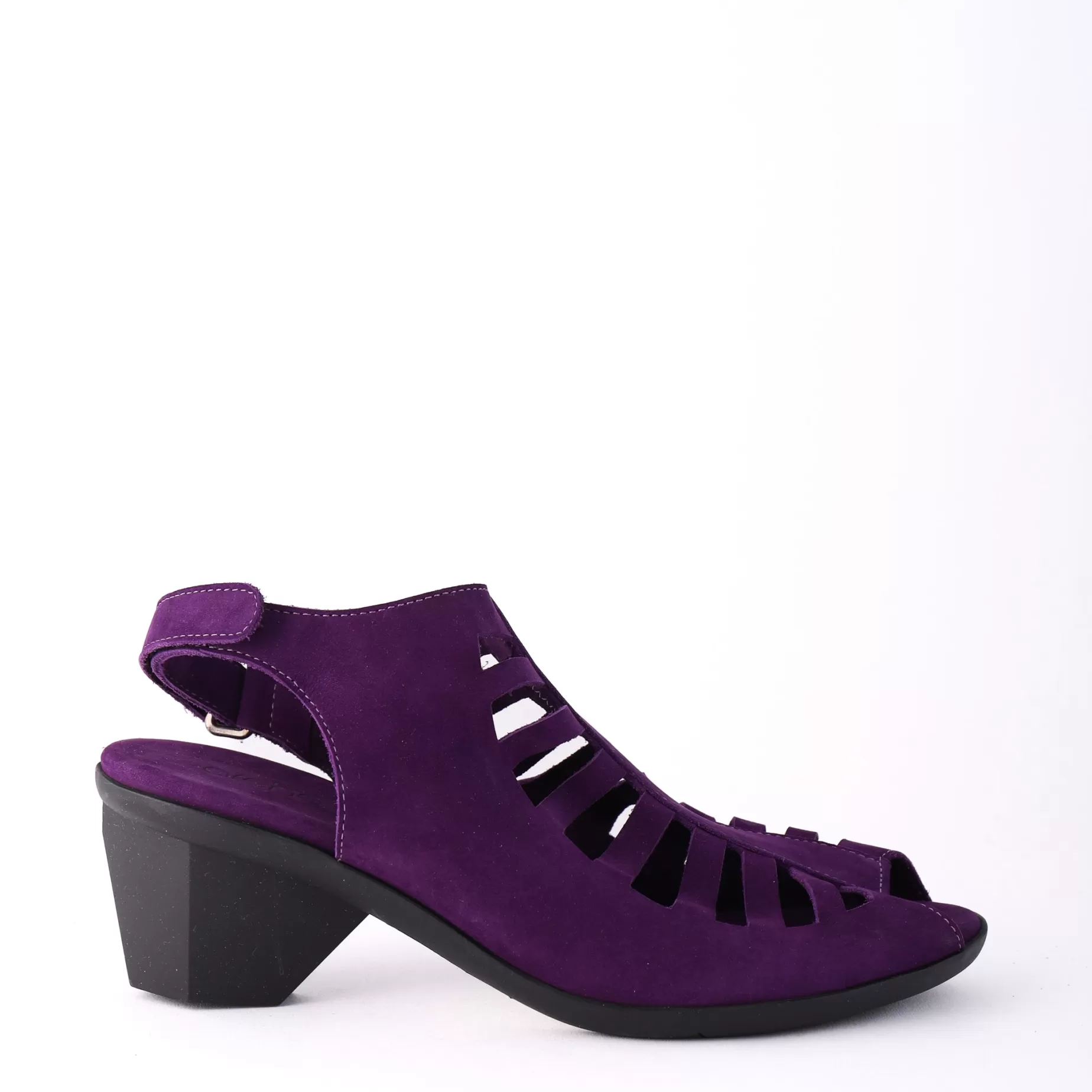 Enexor Purple*ARCHE Best Sale